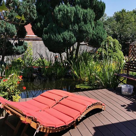 Ferienhaus Mit Mediterraner Terrasse Müllrose Dış mekan fotoğraf